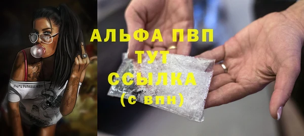 трава Магас