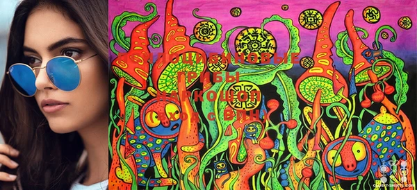 марки nbome Майский