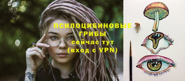 трава Магас