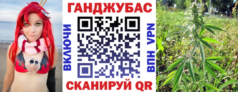 МАРИХУАНА Ganja  Северская 